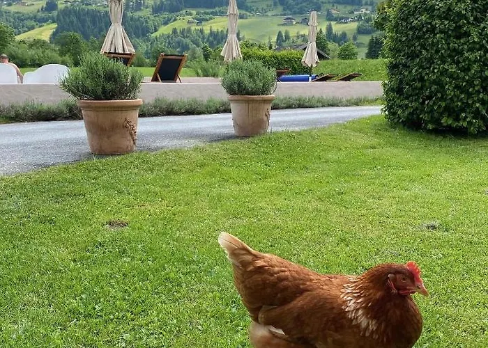 昂格霍夫乡村别墅酒店 * 巴特霍夫加施泰因