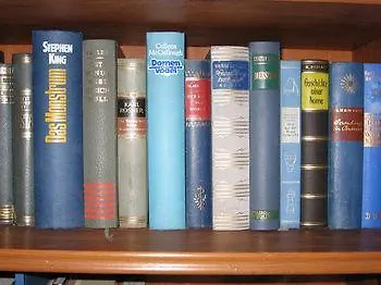 昂格霍夫乡村别墅酒店 巴特霍夫加施泰因