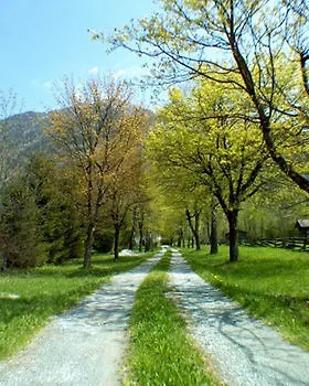 昂格霍夫乡村别墅酒店 巴特霍夫加施泰因